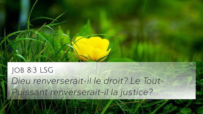 Job 8:3 LSG 4K Wallpaper - Dieu renverserait-il le droit? Le Tout-Puissant - 4K Wallpaper Bible Verse