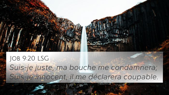 Job 9:20 LSG Bible Verse Image