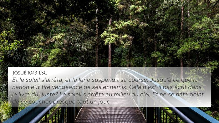 Josué 10:13 LSG Bible Verse Image