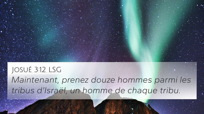 Josué 3:12 LSG Bible Verse Image