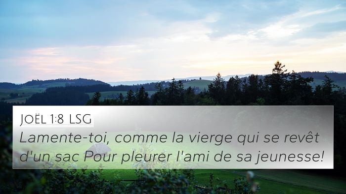 Joël 1:8 LSG Bible Verse Image