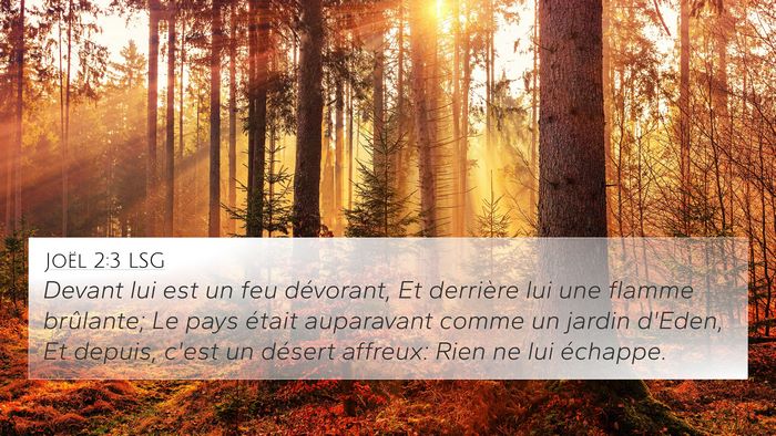 Joël 2:3 LSG Bible Verse Image