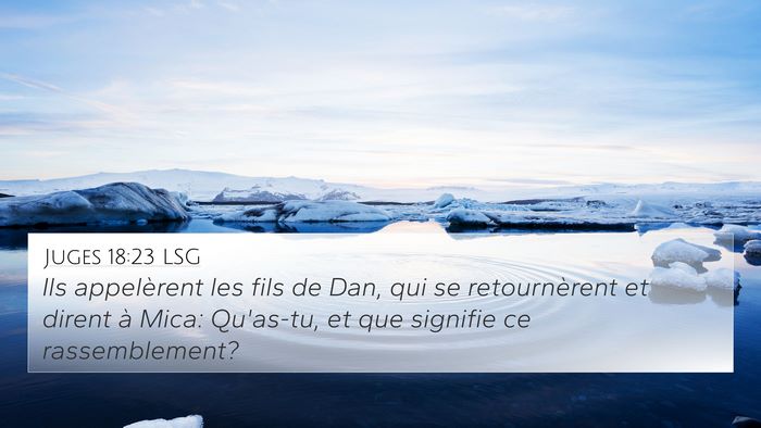 Juges 18:23 LSG Bible Verse Image