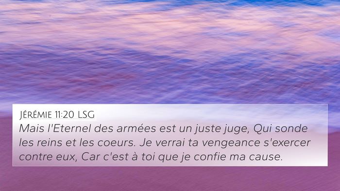 Jérémie 11:20 LSG Bible Verse Image