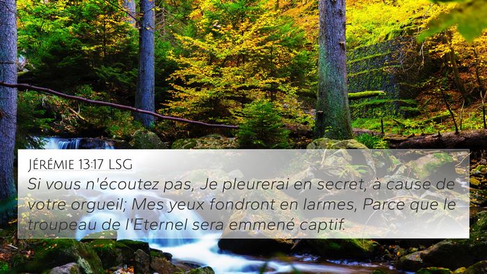 Jérémie 13:17 LSG Bible Verse Image