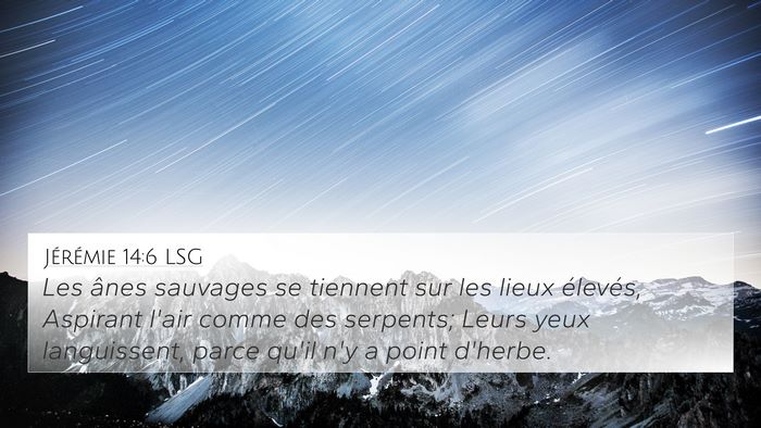 Jérémie 14:6 LSG Bible Verse Image