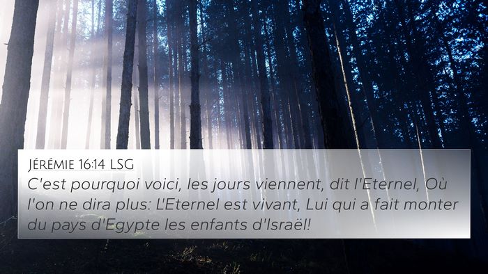 Jérémie 16:14 LSG 4K Wallpaper - C'est pourquoi voici, les jours viennent, dit - 4K Wallpaper Bible Verse