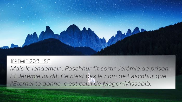 Jérémie 20:3 LSG Bible Verse Image