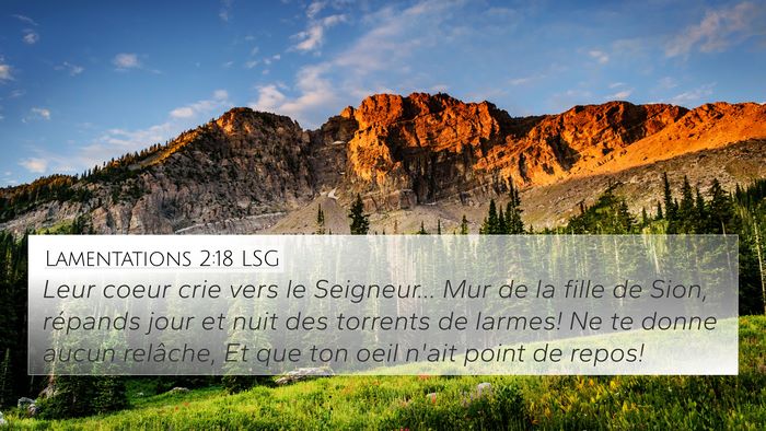 Lamentations 2:18 LSG Bible Verse Image