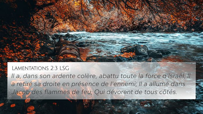 Lamentations 2:3 LSG Bible Verse Image