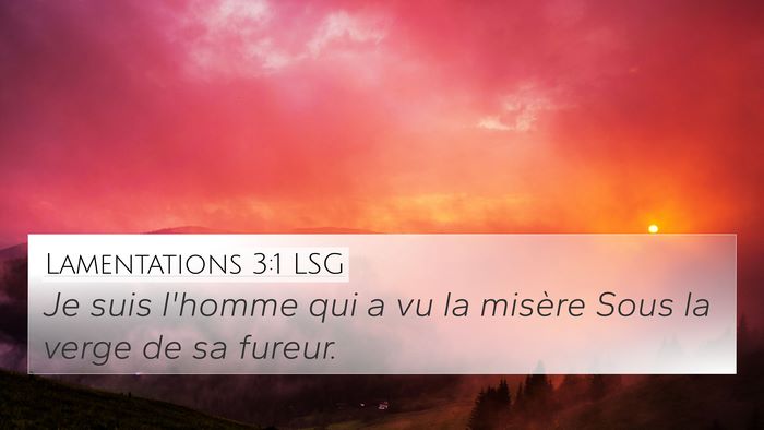 Lamentations 3:1 LSG Bible Verse Image