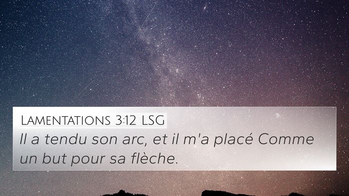 Lamentations 3:12 LSG Bible Verse Image