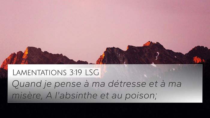 Lamentations 3:19 LSG Bible Verse Image