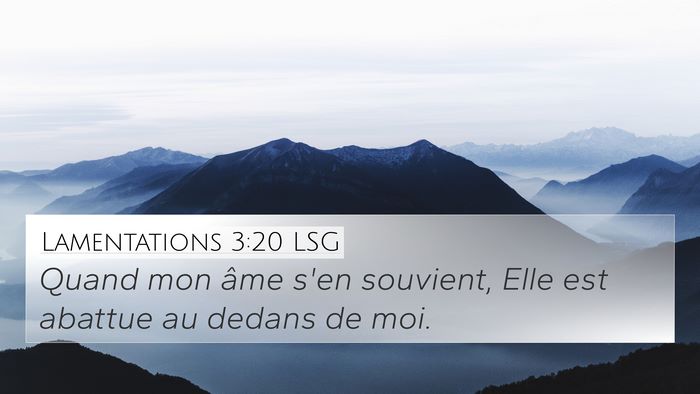 Lamentations 3:20 LSG Bible Verse Image