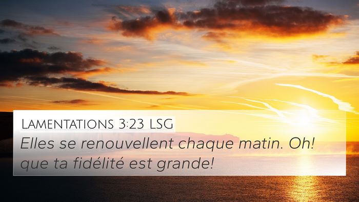 Lamentations 3:23 LSG Bible Verse Image