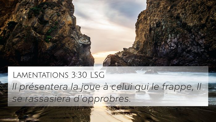 Lamentations 3:30 LSG Bible Verse Image