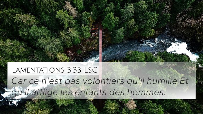 Lamentations 3:33 LSG Bible Verse Image