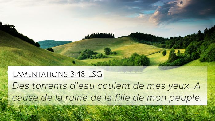 Lamentations 3:48 LSG Bible Verse Image