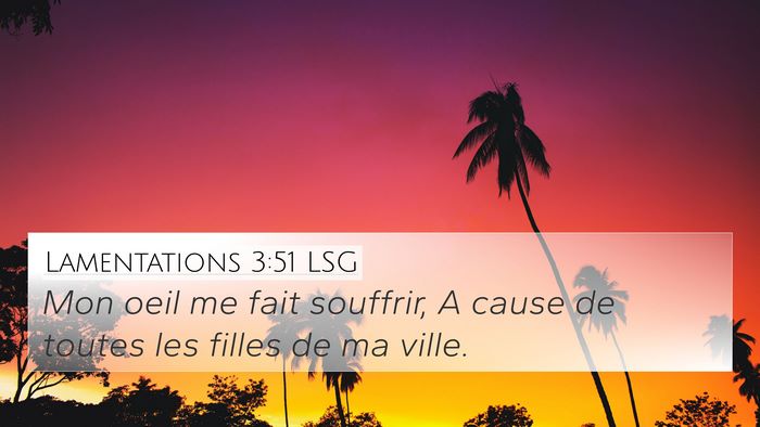 Lamentations 3:51 LSG Bible Verse Image