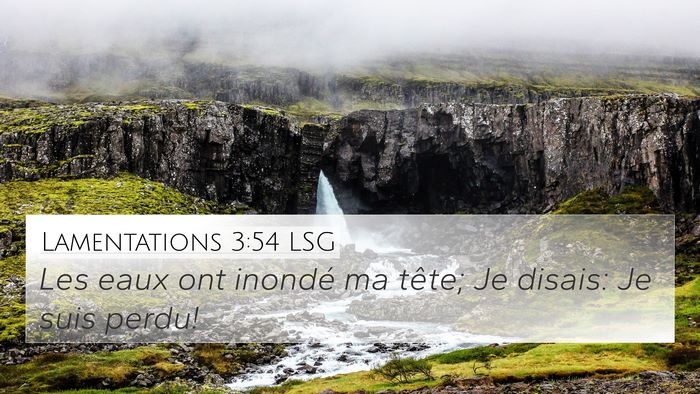 Lamentations 3:54 LSG Bible Verse Image