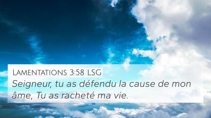 Lamentations 3:58 LSG Bible Verse Image