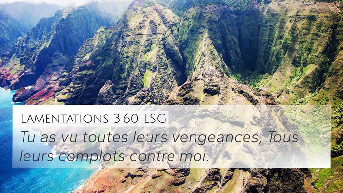 Lamentations 3:60 LSG 4K Wallpaper - Tu as vu toutes leurs vengeances, Tous leurs - 4K Wallpaper Bible Verse