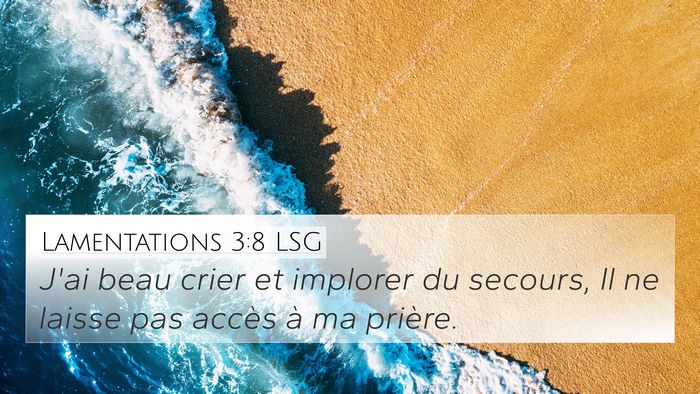 Lamentations 3:8 LSG Bible Verse Image