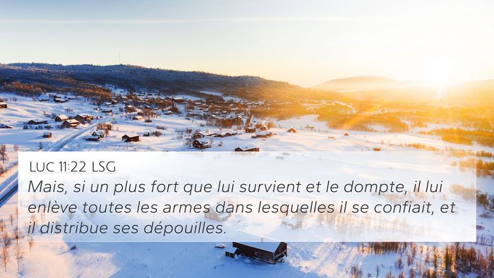 Luc 11:22 LSG Bible Verse Image