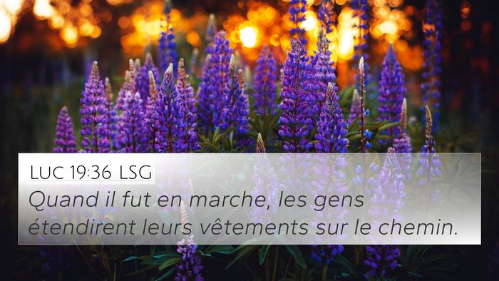 Luc 19:36 LSG 4K Wallpaper - Quand il fut en marche, les gens étendirent - 4K Wallpaper Bible Verse