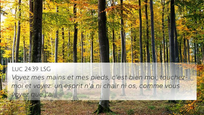 Luc 24:39 LSG Bible Verse Image