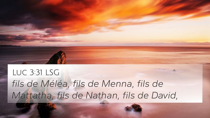 Luc 3:31 LSG Bible Verse Image