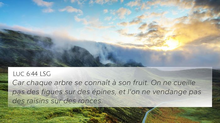 Luc 6:44 LSG 4K Wallpaper - Car chaque arbre se connaît à son fruit. On ne - 4K Wallpaper Bible Verse