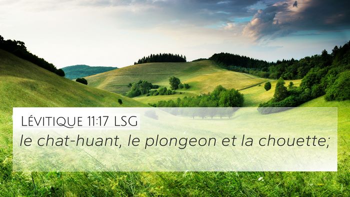 Lévitique 11:17 LSG 4K Wallpaper - le chat-huant, le plongeon et la - 4K Wallpaper Bible Verse