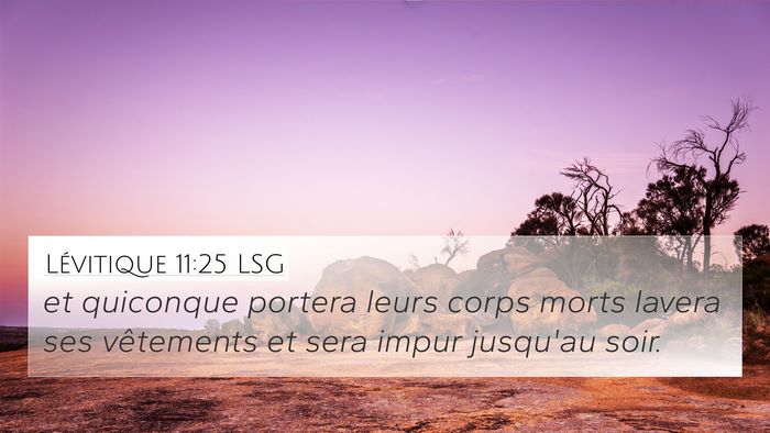 Lévitique 11:25 LSG Bible Verse Image