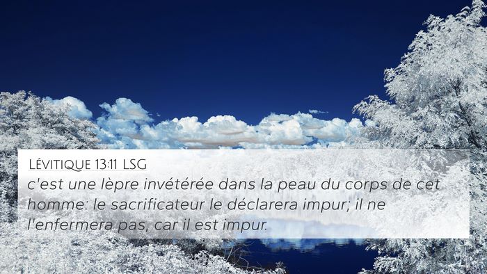 Lévitique 13:11 LSG 4K Wallpaper - c'est une lèpre invétérée dans la peau du - 4K Wallpaper Bible Verse