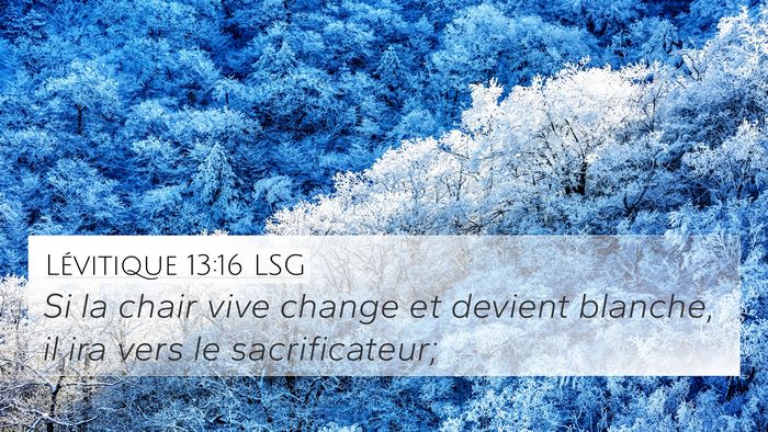 Lévitique 13:16 LSG 4K Wallpaper - Si la chair vive change et devient blanche, il - 4K Wallpaper Bible Verse