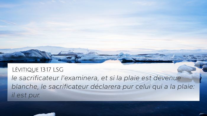 Lévitique 13:17 LSG 4K Wallpaper - le sacrificateur l'examinera, et si la plaie est - 4K Wallpaper Bible Verse