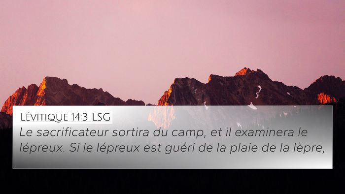 Lévitique 14:3 LSG Bible Verse Image