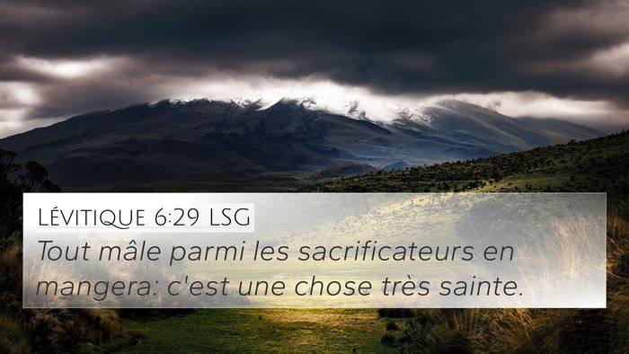 Lévitique 6:29 LSG Bible Verse Image