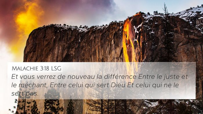 Malachie 3:18 LSG Bible Verse Image