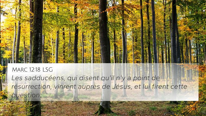 Marc 12:18 LSG Bible Verse Image