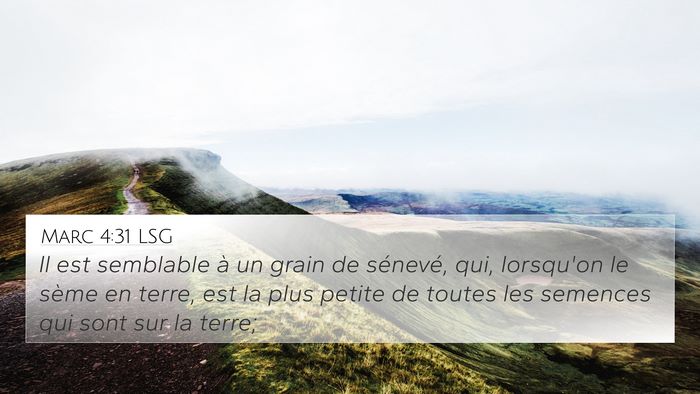 Marc 4:31 LSG Bible Verse Image