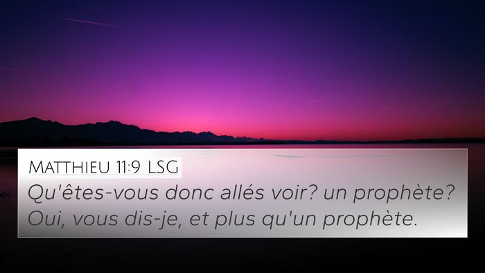 Matthieu 11:9 LSG Bible Verse Image