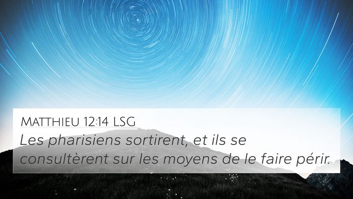 Matthieu 12:14 LSG Bible Verse Image