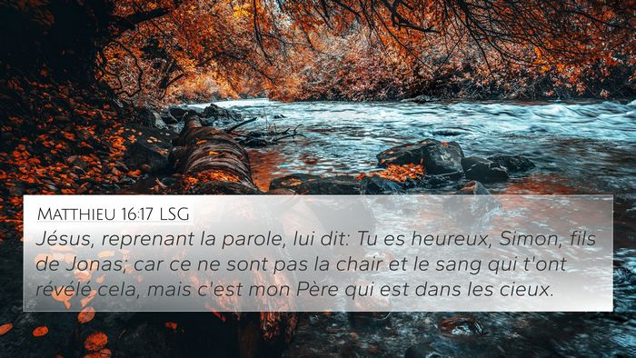 Matthieu 16:17 LSG Bible Verse Image