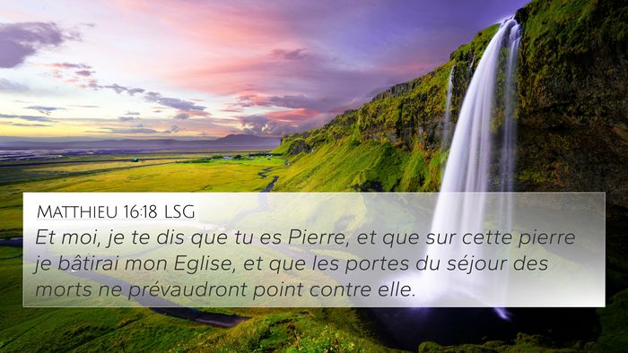 Matthieu 16:18 LSG Bible Verse Image