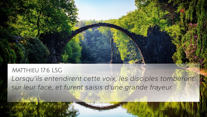 Matthieu 17:6 LSG Bible Verse Image