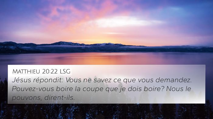 Matthieu 20:22 LSG Bible Verse Image