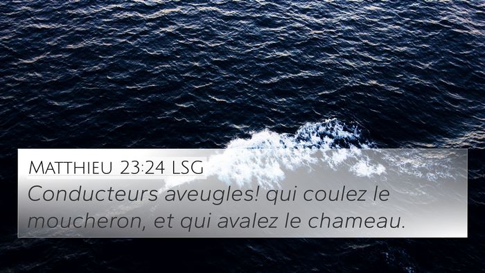 Matthieu 23:24 LSG 4K Wallpaper - Conducteurs aveugles! qui coulez le moucheron, et - 4K Wallpaper Bible Verse