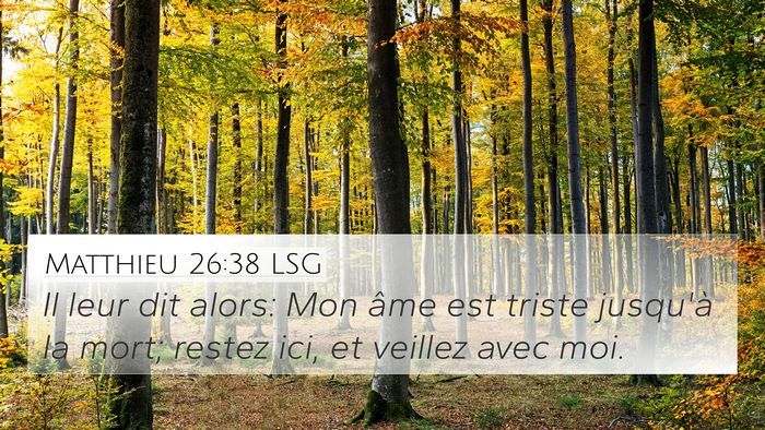 Matthieu 26:38 LSG Bible Verse Image